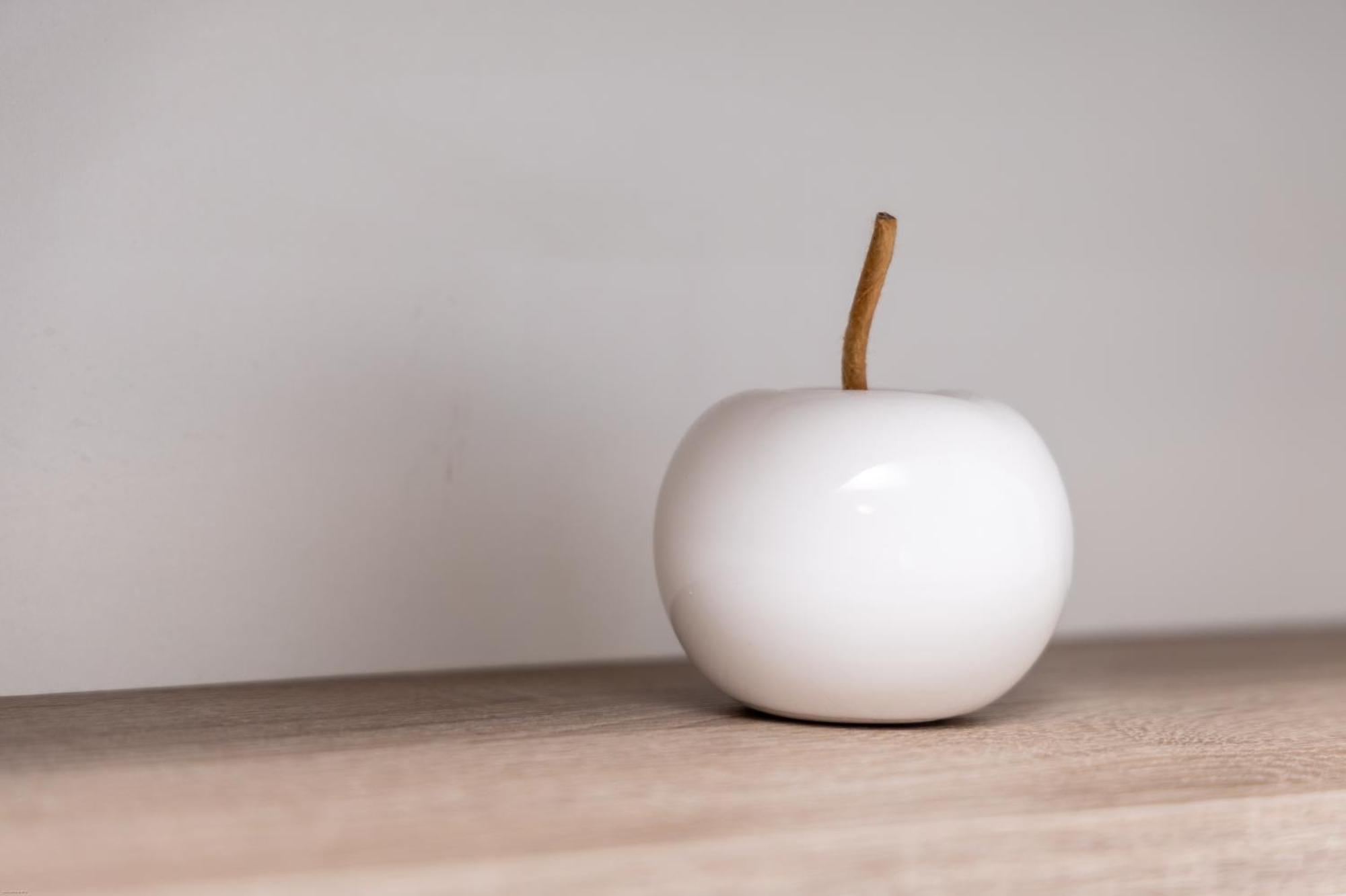 Penzion Bludicka 利托米什尔 外观 照片